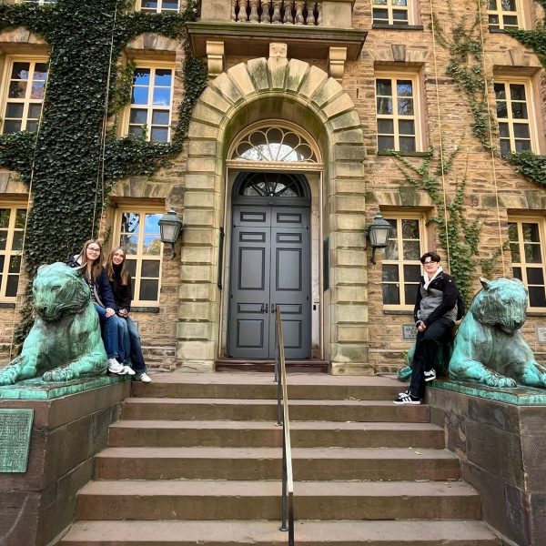 b54fcbe1-d4dd-44a5-9b81-a93300d0478b