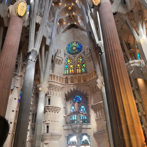 e43df6c7-146a-417a-a681-8ad0a212b62b