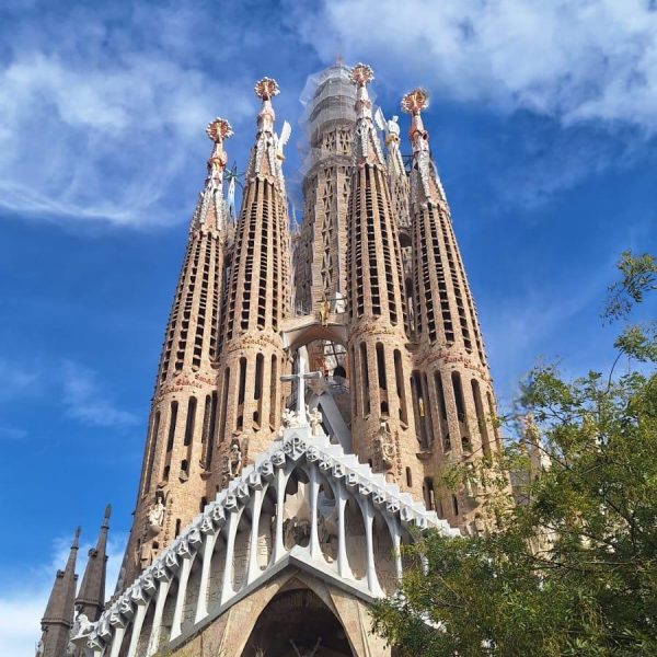 ff7f7c9f-eff1-4ea8-8762-3e7137bebd83