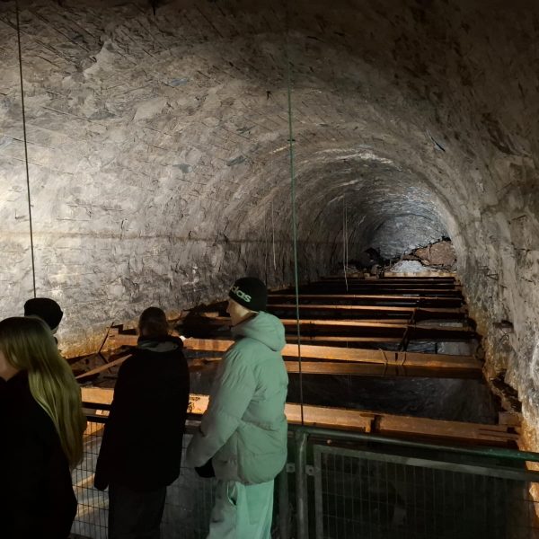 96e13066-3ea3-46c0-83c3-aea467b833fa