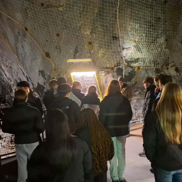 d7ed927c-c9ad-4ee1-85a9-3218b05a6dd1