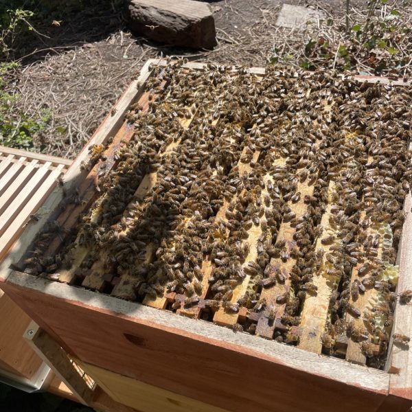 07347C84-7353-45E7-A656-5A6521E37FD4