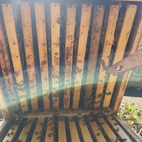 DBDD52BC-0EC1-4F6C-AA3F-4D7773BCCB98