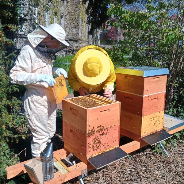 IMG_20260415_145232668_HDR