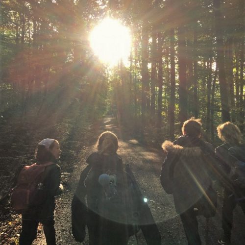 183661b2-15ed-42eb-ae53-92a421bedf7e