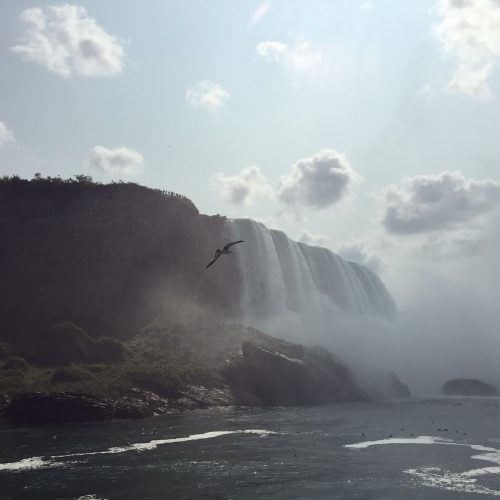 6ac3692c-0032-459f-9a75-c7a46078db01