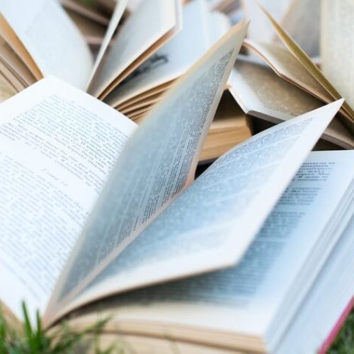 Open books lying on a green grass. The concept of learning outdoors