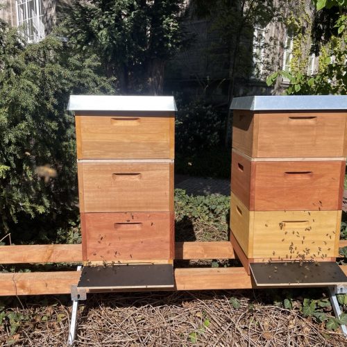 F0C2C801-2B39-42AD-833D-BCC0961B6332